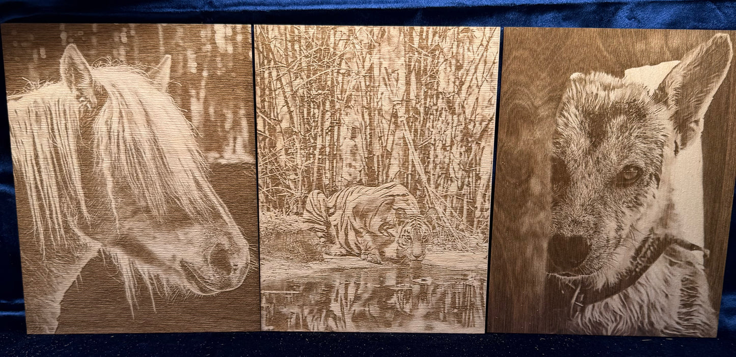 Bundle Of Three 8"x10" Custom Laser-Engraved Portraits On Wood