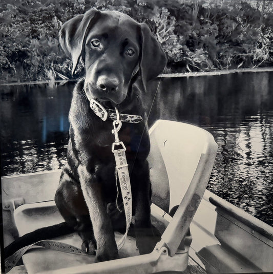 Premium Custom Laser-Engraved Portraits for Every Occasion
